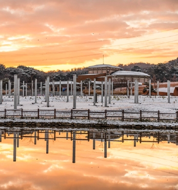 눈 위에 피어난 황금빛 새벽 섬네일 파일