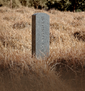 부를 수 없는 이름 ‘장흥, 동학농민군 집단 묘지’ 섬네일 파일
